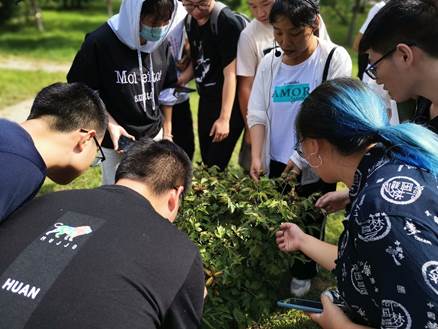 说明: D:\史雷（以前电脑文件）2014.9-2020.6\D盘\D-史雷\@植物学教学资料@\植物学\植物学实习\2020植物学实习\实习照片\QQ图片20200824104021.jpg